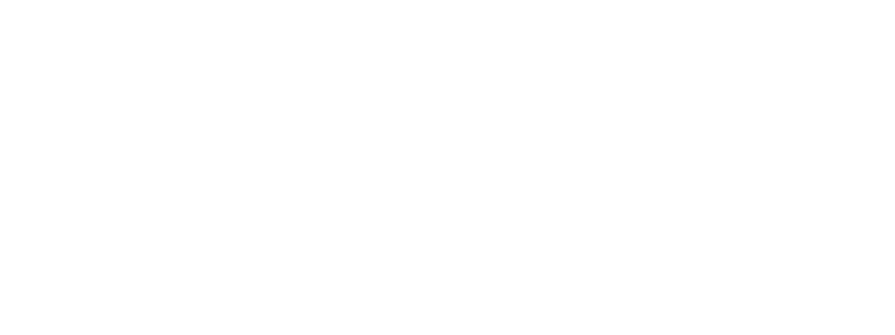 RHEA Solution